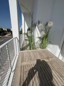 Tunis centre, vue sur le Belvédère