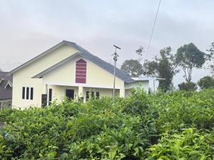 Beverly Hills Vagamon