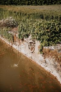 Maisons de vacances le bois de Selves - Maison authentique avec vue exceptionnelle : photos des chambres