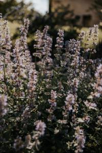 Maisons de vacances le bois de Selves - Maison authentique avec vue exceptionnelle : photos des chambres
