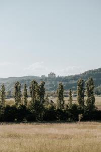Maisons de vacances le bois de Selves - Maison authentique avec vue exceptionnelle : photos des chambres