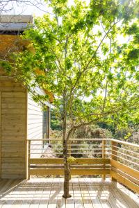 Lodges La Carri'air : photos des chambres