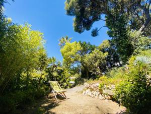 Oasis de verdure - Élégance en Provence - Piscine - 1 à 6 personnes