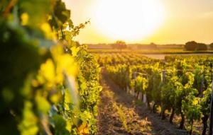 Cozy Home In Blois With Wifi