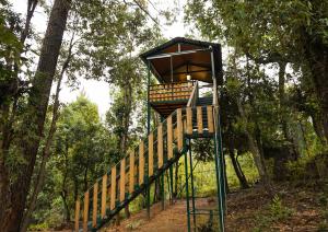Apricot Luxury Tent Retreat in Majkhali