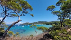 La Muscatelle Entre mer et campagne provencale