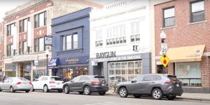 Comfy Garden Suite in Andersonville