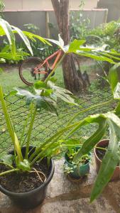 Casa com jardim em condomínio Área central