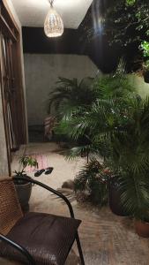 Casa com jardim em condomínio Área central