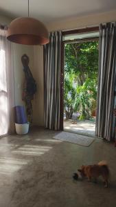 Casa com jardim em condomínio Área central