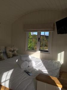 1 King-size Bed Deluxe Cabin - Free Parking