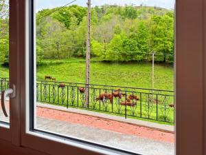 Maisons de vacances Maison au coeur de la vallee du Cantal - 2pers : photos des chambres