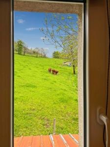Maisons de vacances Maison au coeur de la vallee du Cantal - 2pers : Maison 1 Chambre