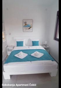 Apartmani Čokić Sokobanja