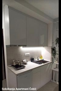 Apartmani Čokić Sokobanja