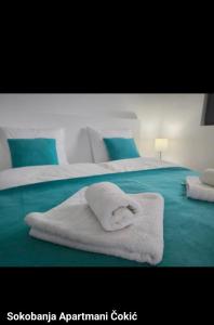 Apartmani Čokić Sokobanja