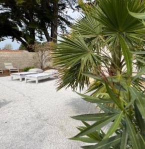Villas Villa TEYO Le Bois Plage en Re : photos des chambres