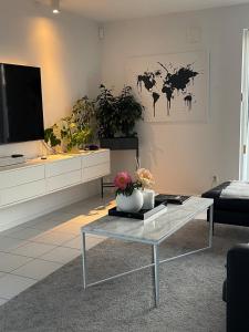 Modern Luxury Home in Malmö