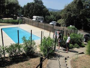 Coquillages et Crustacés - Piscine & Tennis