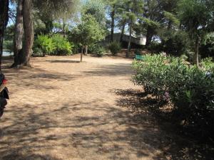 Coquillages et Crustacés - Piscine & Tennis