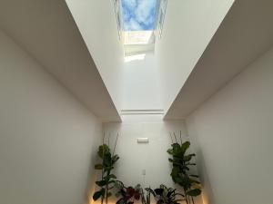 Padrón Plaza Loft L5 by URent