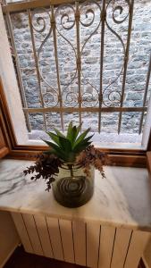 Noli vicinissimo al mare