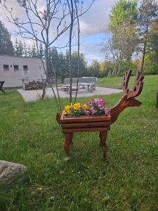 Rykowisko - domki całoroczne nad jeziorem i rzeką