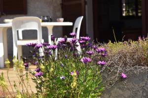 Petite maison provençale pour 4 personnes