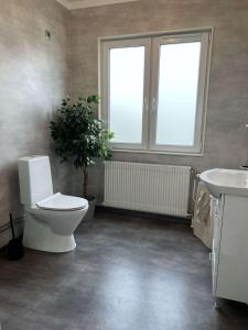 Newly refurbished Apartment