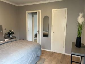 Newly refurbished Apartment