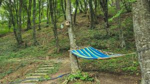 Cottage in Tskhvarichamia forest