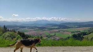 Biobauernhof Kräuter