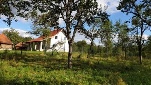 Vila Cosovic