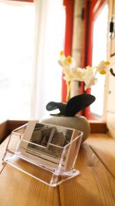 Tropical Garden Faliraki Rhodes