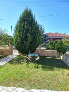 Vasilikis house - Luxurious studio