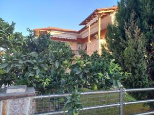 Vasilikis house - Luxurious studio