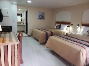 La Villa de Zaragoza