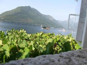 Painters House Historic Stone Villa with Sea View