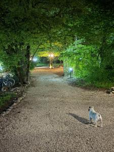 CARPE DIEM RETAFANI Rogers house