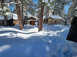 Cozy Bear Retreat with Hot-Tub & BBQ!
