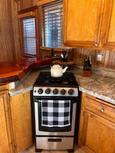 Cozy Bear Retreat with Hot-Tub & BBQ!