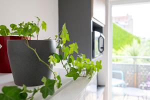 Appartements Le Nid Tourangeau : photos des chambres