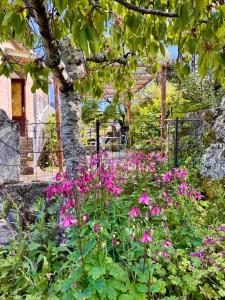 Maisons de vacances Maison traditionnelle avec vues sur St Michel : photos des chambres