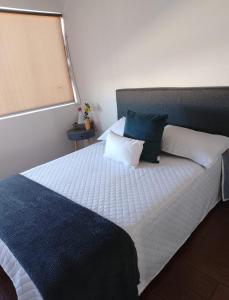 Cielito home Punta 2