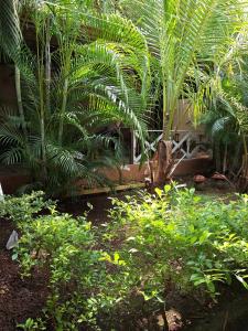 Villa en Orotina con Piscina