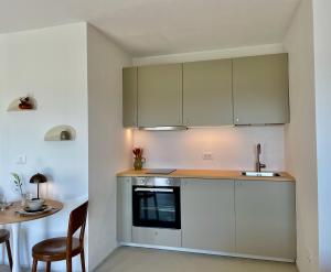 Vipava View Studio Apartments 