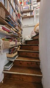 Appartements Appartement, atelier d'artiste : Appartement 1 Chambre