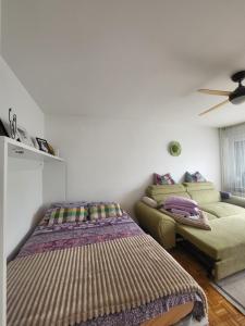 Dolly Apartment Airport