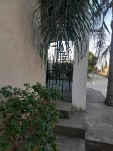 Departamento de los pájaros