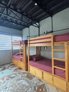 Canova Hostel & Pizza